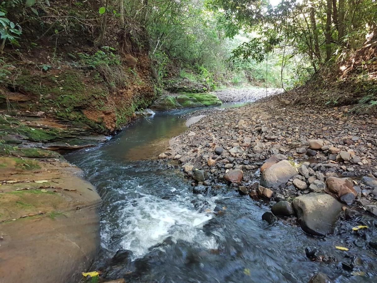 Nas Arvores Ecopark Campsite *
