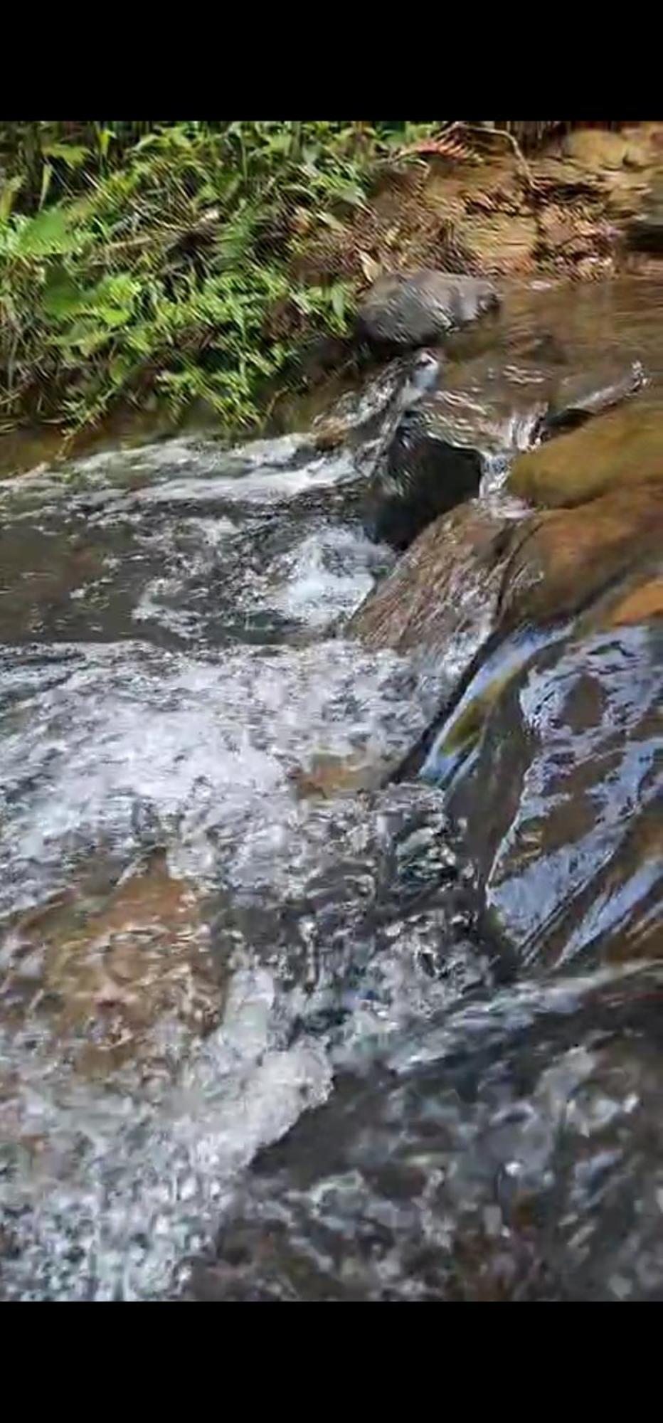Nas Arvores Ecopark * Sao Pedro (Sao Paulo)